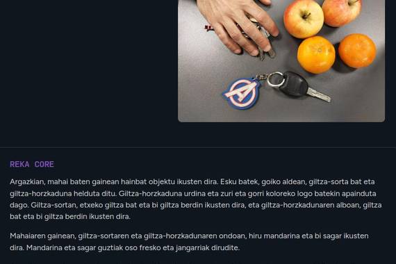 Reka Playground, euskaraz primeran dabilen beste adimen artifizial bat