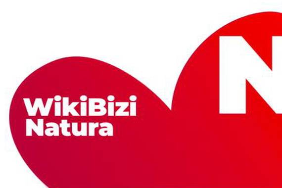 Hiru argazki lehiaketa abian euskarazko Wikipedian uda honetan