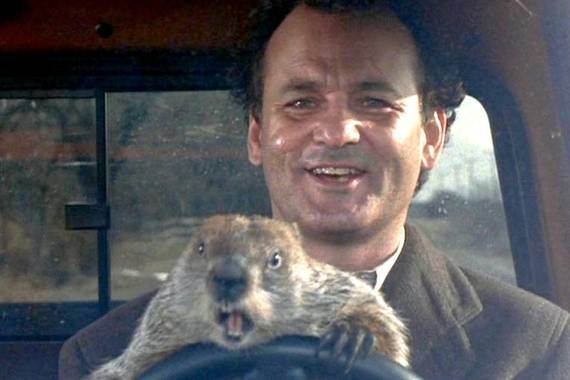 Marmotaren Eguna... edo Hartzaren Eguna!