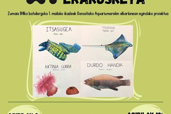 Txikipediaren proiektu bat, Zumaiako Institutua eta Donostiako Aquariuma elkarlanean
