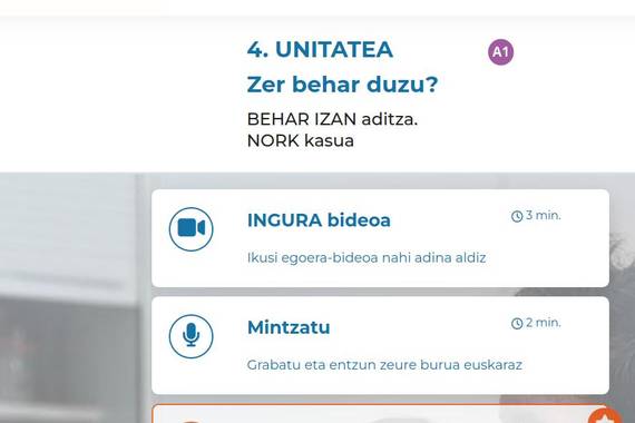 Euskara online ikasteko Ingura sistema martxan jarri du Jaurlaritzak