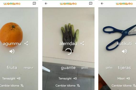 Woolaroo, ikusmen artifiziala eta hizkuntza gutxituak batuz