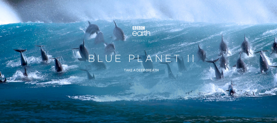 "Blue Planet" dokumental mitikoa itzuli da, bigarren kapitulu-sortarekin