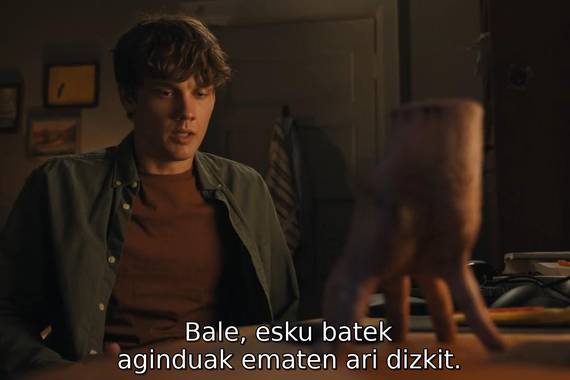 Euskal "gramatikaren erabateko kolapsoa" Netflixeko euskarazko azpidatzietan