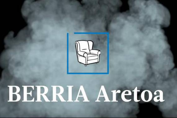Berria Aretoa, sortzaileentzako areto birtual bat