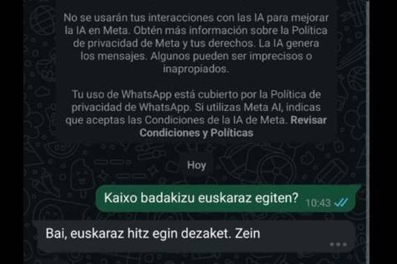 Whatsappen AAk oso ondo daki euskaraz, baina Metak zentsuratu egiten du