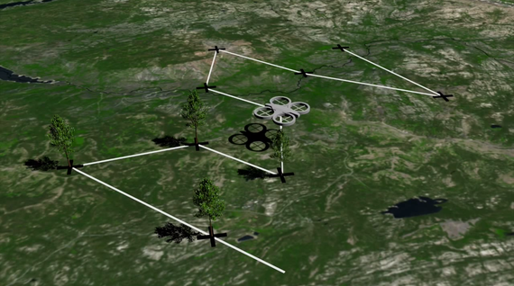 Drone bidez zuhaitzak landatzen, deforestazioari aurre egiteko