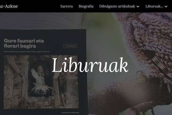 Iñaki Sanz-Azkue: dibulgatzaile baten webgunea