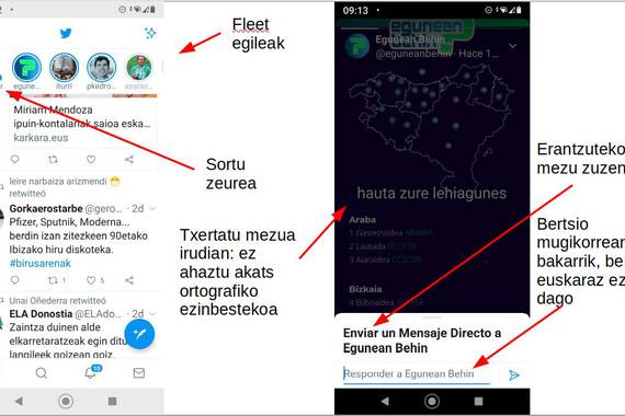 Horrela dabiltza 'fleet-ak', Twitterren aukera berria