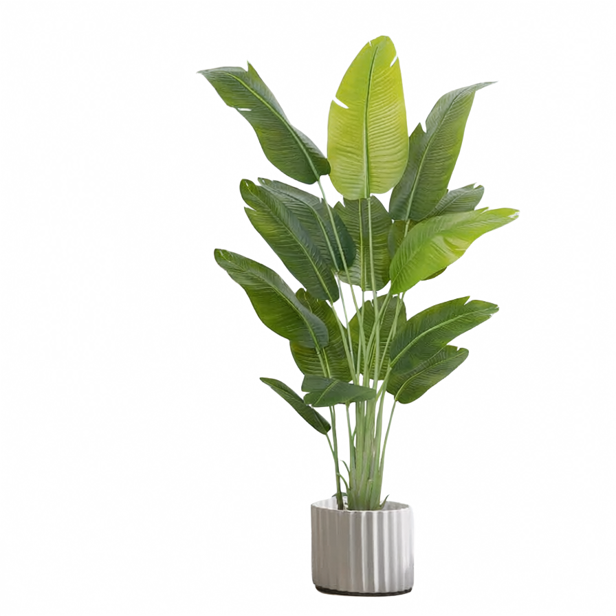 Landare bat bere ontziarekin, atzealde gardeneko PNG batean, xake-hondoaren gainean